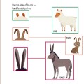 Фото My First Book of Farm Animals. Montessori: A World of Achievements 6