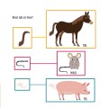 Фото My First Book of Farm Animals. Montessori: A World of Achievements 8