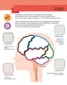 Фото My First Book of the Human Body: Montessori Activity Book 7
