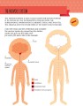 Фото My First Book of the Human Body: Montessori Activity Book 8