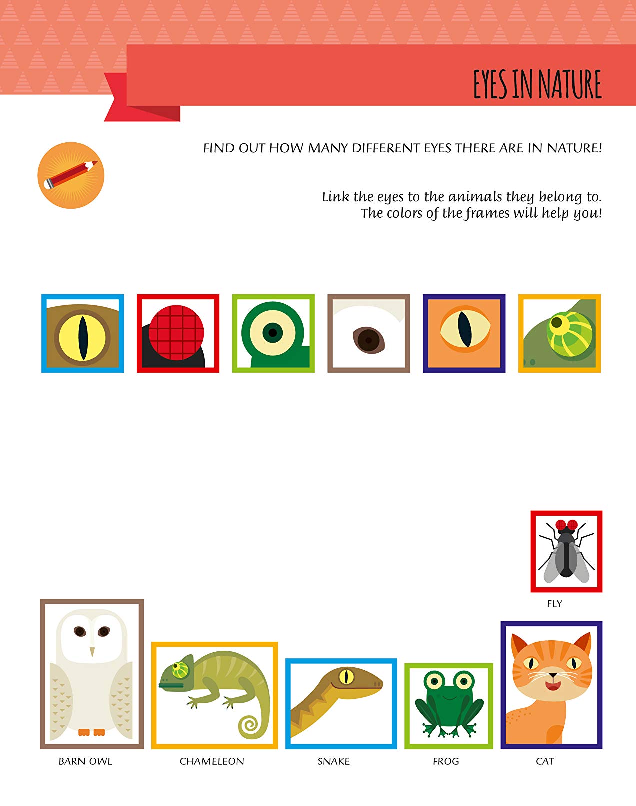 Hidden Product Image 9