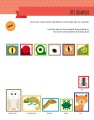 Фото My First Book of the Human Body: Montessori Activity Book 9