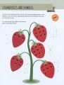 Фото My First Book of the Seasons: Montessori Activity Book 7