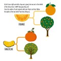 Фото My First Book of the Vegetable Garden. Montessori: A World of Achievements 8