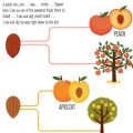 Фото My First Book of the Vegetable Garden. Montessori: A World of Achievements 9