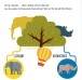 Фото My First Book of Wild Animals. Montessori: A World of Achievements 7