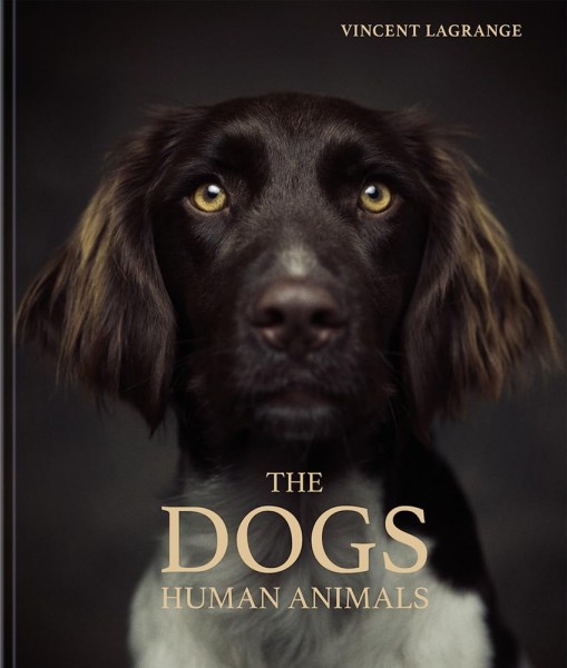 Фото The Dogs: Human Animals