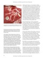 Фото Football: The Ultimate Book 12