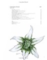 Фото For the Love of Diamonds: The Fine Jewelry Book 6