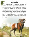 Фото Читаю про Україну. Тварини гір 4