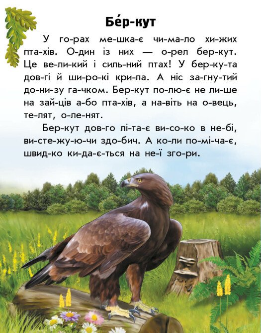Hidden Product Image 6