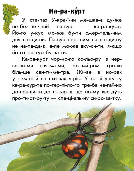 Hidden Product Image 6