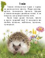 Фото Читаю про Україну. Тварини лісів 2