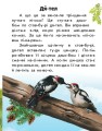 Фото Читаю про Україну. Тварини лісів 5