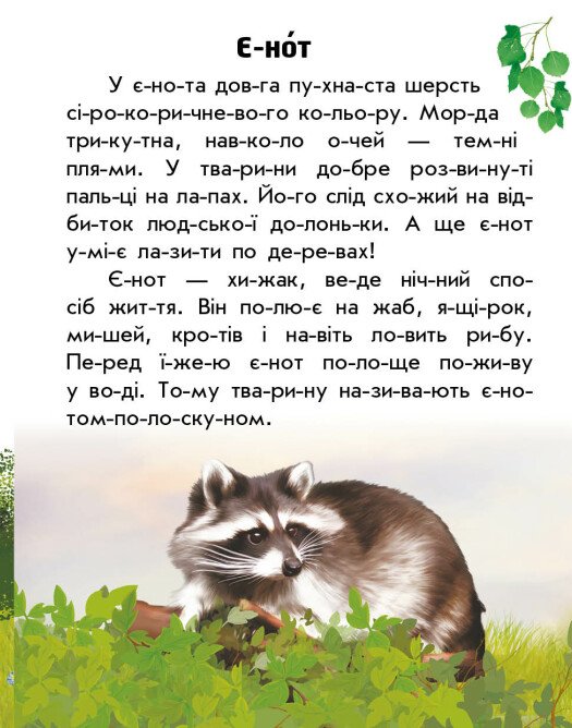 Hidden Product Image 7
