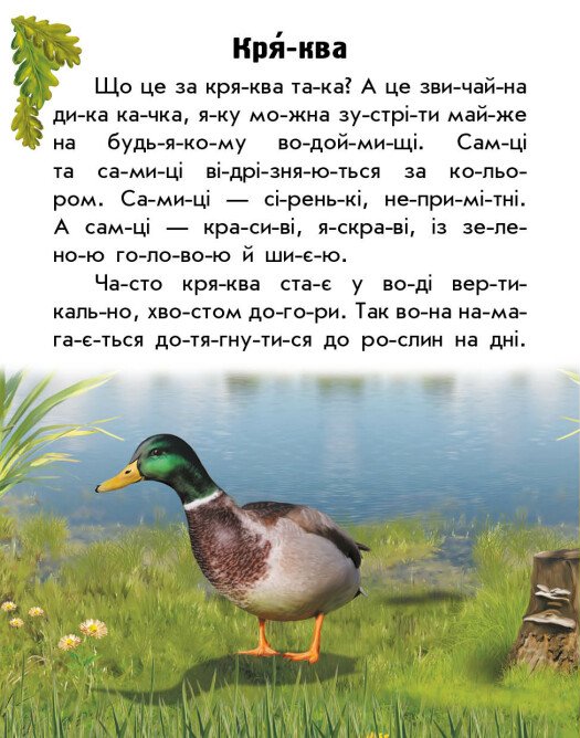 Hidden Product Image 6