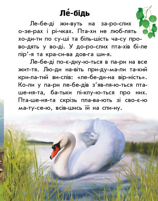 Hidden Product Image 7