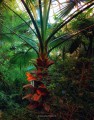 Фото Greenhouses: Cathedrals for Plants 9