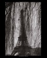 Фото Paris Blues 5