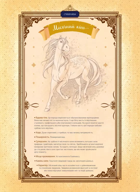 Hidden Product Image 14