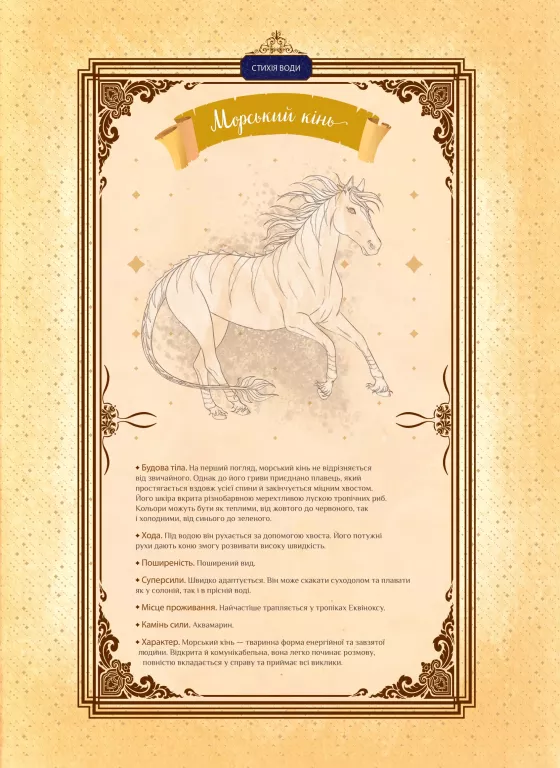Hidden Product Image 10