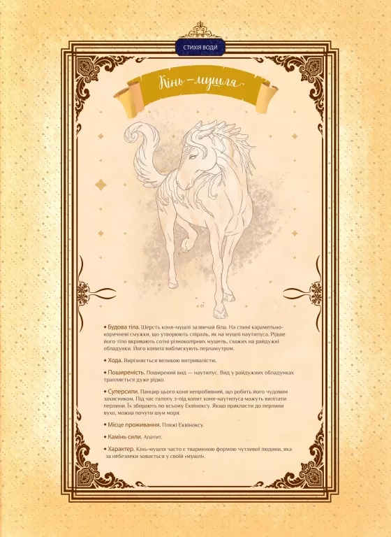 Hidden Product Image 11