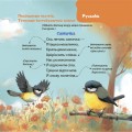 Фото Віршенята-гралочки. Забавлянки, утішки, руханки, лічилки для малят. 0–3 роки 7