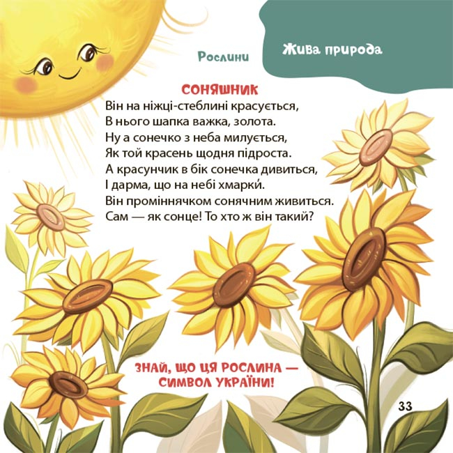 Hidden Product Image 10