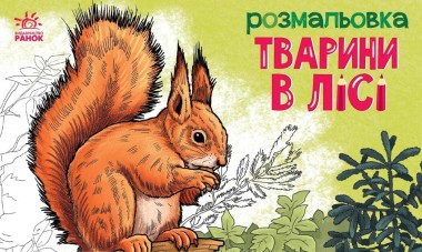 Фото Розмальовка з тваринами. Тварини в лісі