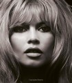 Фото Being Bardot: Photographed by Douglas Kirkland and Terry O'Neill 7