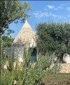 Фото Love Shacks: Romantic cabin charmers, modern getaways and rustic retreats around the world 6