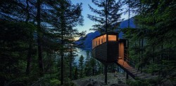 Modern Cabins: Return to the Wild