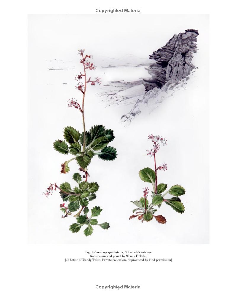 Hidden Product Image 6