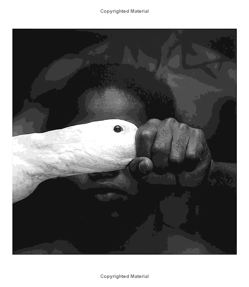 Hidden Product Image 8