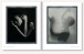 Фото Polaroid Now. The History and Future of Polaroid Photography 8