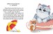 Фото Чому бджілки стали смугастими 3