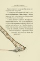 Фото Пан Щасливець 9