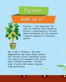 Фото Чомусики. Рослини 2