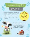Фото Чомусики. Рослини 4