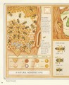 Фото Explore. A Collection of Maps and Diagrams That Explain the World 9