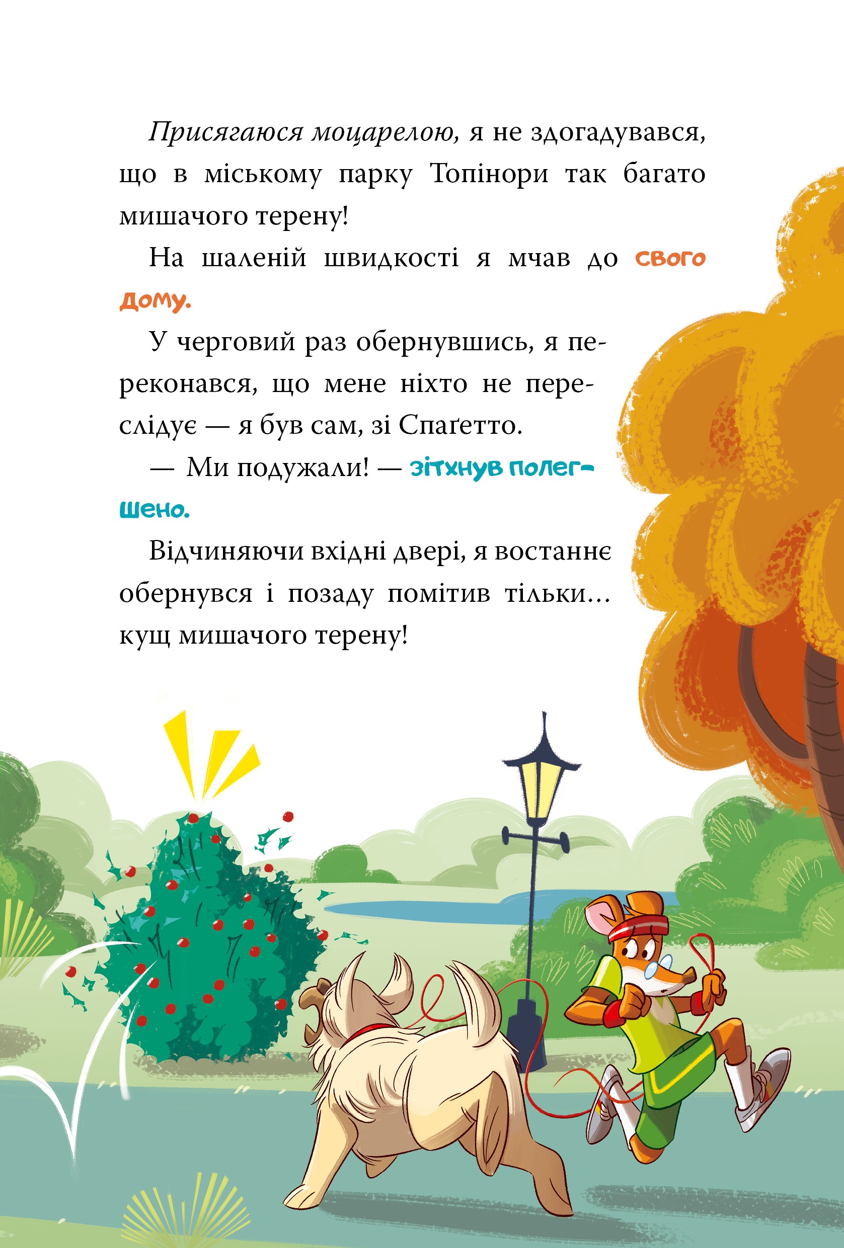 Hidden Product Image 10