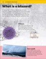 Фото Why? Weather 4