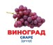 Фото Фрукти та ягоди. Геній з пелюшок 2
