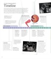 Фото The Pregnancy Encyclopedia. All Your Questions Answered 6