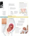 Фото The Pregnancy Encyclopedia. All Your Questions Answered 7