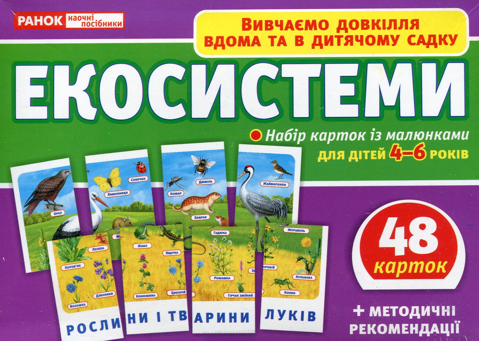 Main Product