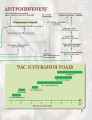 Фото Від мавпи до людини 4