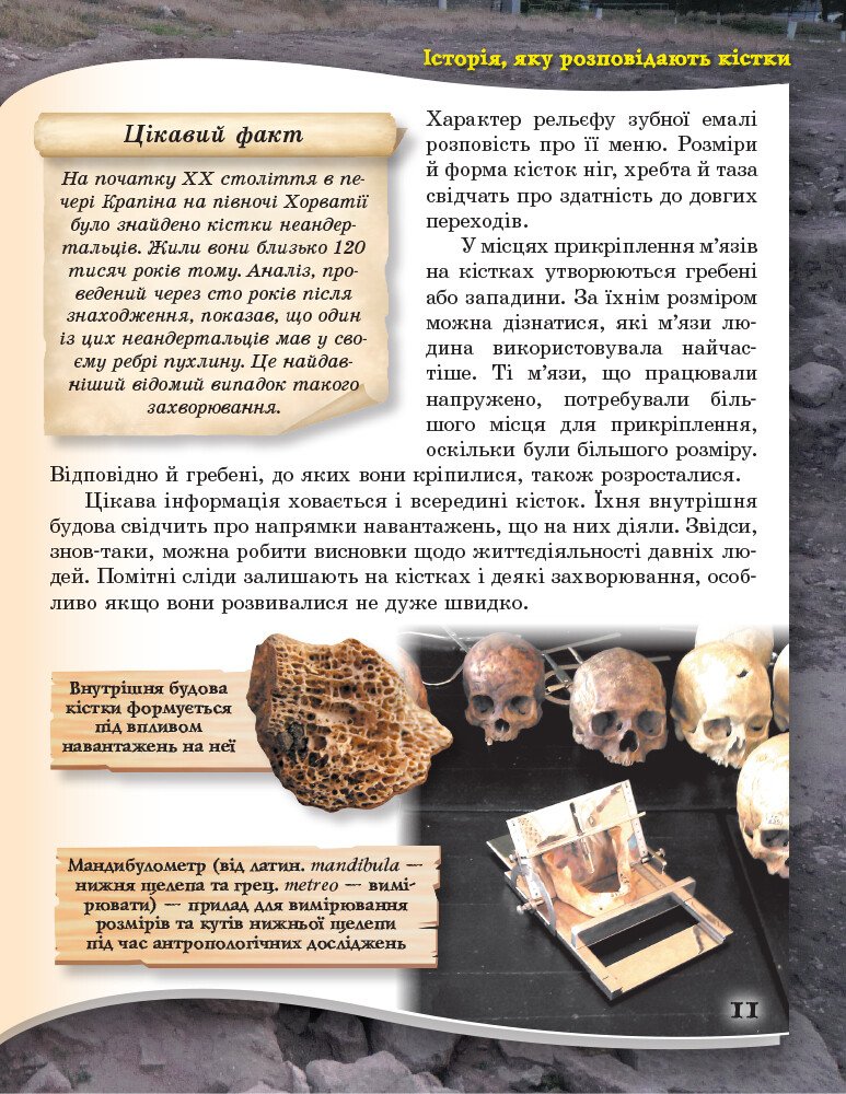 Hidden Product Image 10