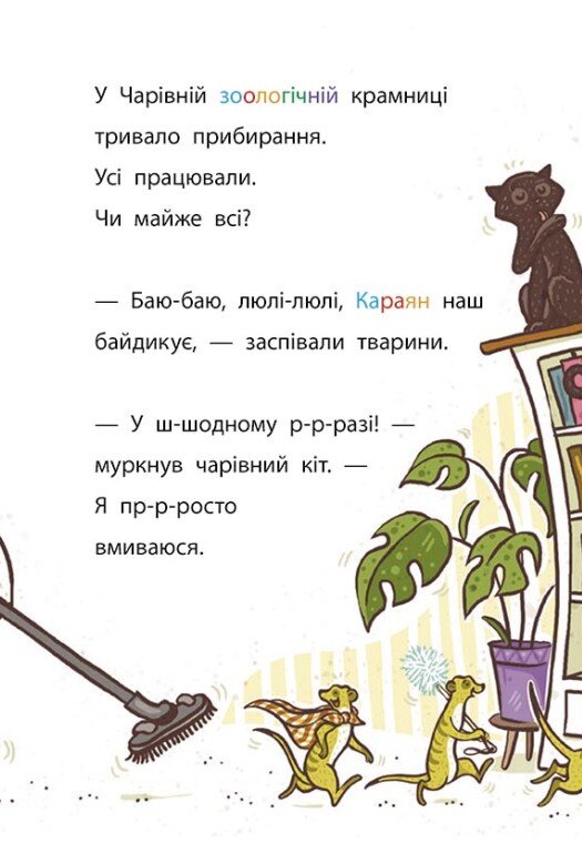 Hidden Product Image 9