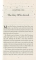 Фото Harry Potter and the Philosopher’s Stone. Gryffindor Edition 6